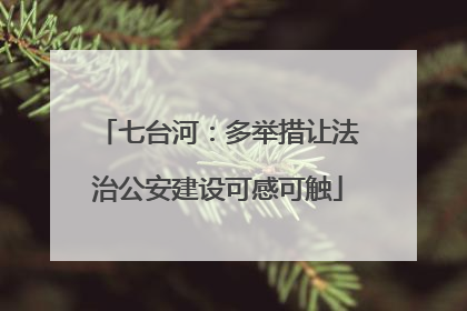 七台河：多举措让法治公安建设可感可触