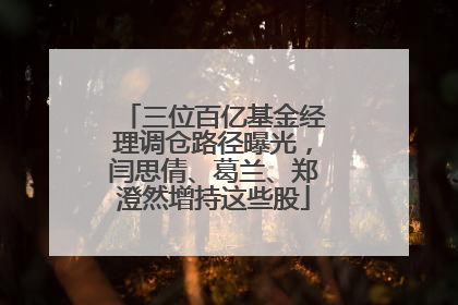 三位百亿基金经理调仓路径曝光，闫思倩、葛兰、郑澄然增持这些股