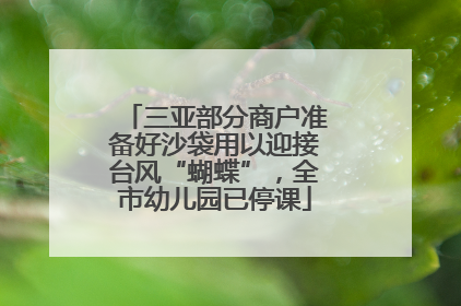 三亚部分商户准备好沙袋用以迎接台风“蝴蝶”，全市幼儿园已停课