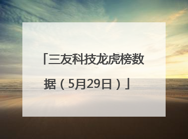 三友科技龙虎榜数据（5月29日）