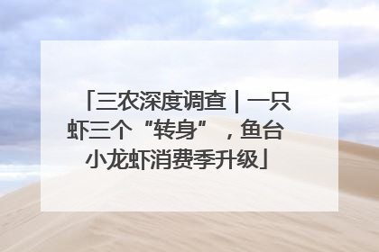 三农深度调查｜一只虾三个“转身”，鱼台小龙虾消费季升级