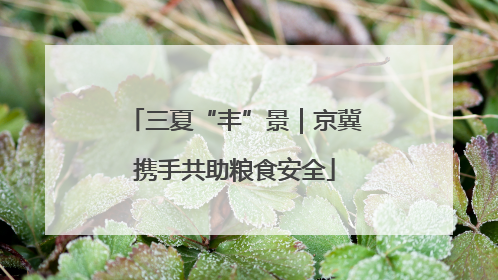 三夏“丰”景｜京冀携手共助粮食安全