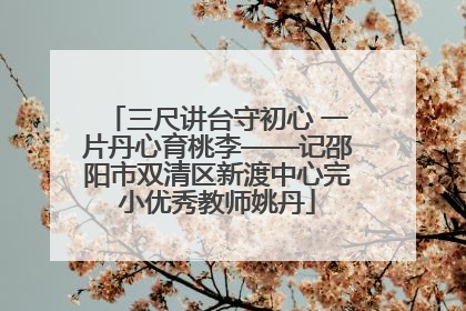 三尺讲台守初心 一片丹心育桃李——记邵阳市双清区新渡中心完小优秀教师姚丹