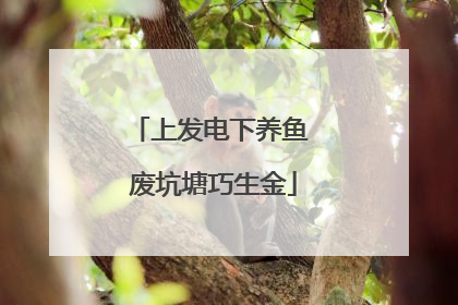 上发电下养鱼 废坑塘巧生金