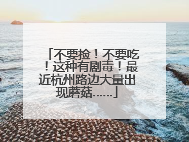 不要捡！不要吃！这种有剧毒！最近杭州路边大量出现蘑菇……