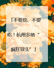不要挖、不要吃！杭州多地“疯狂冒头”