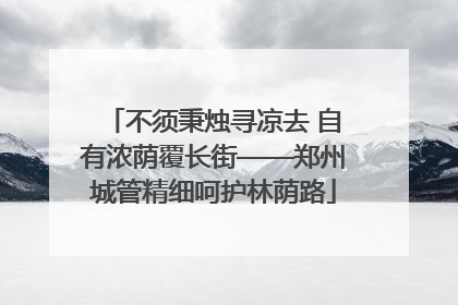 不须秉烛寻凉去 自有浓荫覆长街——郑州城管精细呵护林荫路