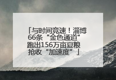 与时间竞速！淄博66条“金色通道”跑出156万亩夏粮抢收“加速度”
