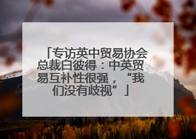 专访英中贸易协会总裁白彼得：中英贸易互补性很强，“我们没有歧视”