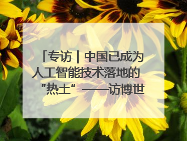 专访｜中国已成为人工智能技术落地的“热土”——访博世集团董事会主席斯特凡·哈通