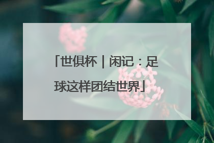 世俱杯｜闲记：足球这样团结世界