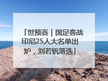 世预赛｜国足客战印尼25人大名单出炉，刘若钒落选