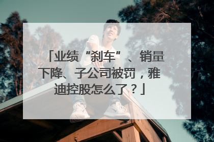 业绩“刹车”、销量下降、子公司被罚，雅迪控股怎么了？