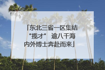 东北三省一区集结“揽才” 逾八千海内外博士奔赴而来