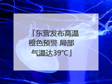 东营发布高温橙色预警 局部气温达39℃