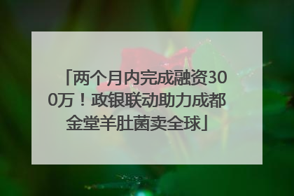 两个月内完成融资300万！政银联动助力成都金堂羊肚菌卖全球