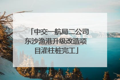 中交一航局二公司东沙渔港升级改造项目灌柱桩完工