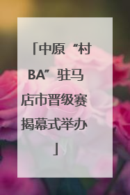 中原“村BA”驻马店市晋级赛揭幕式举办