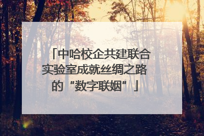 中哈校企共建联合实验室成就丝绸之路的“数字联姻”