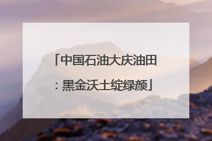 中国石油大庆油田：黑金沃土绽绿颜