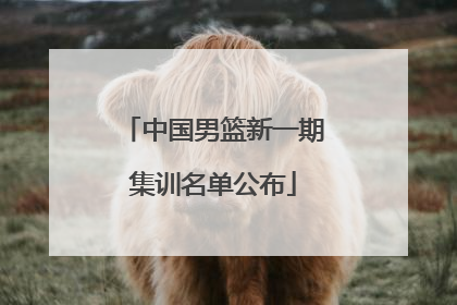 中国男篮新一期集训名单公布