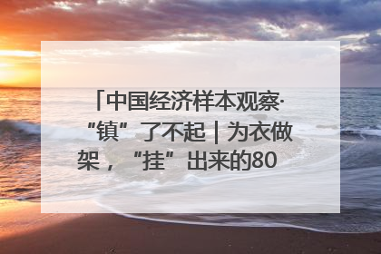 中国经济样本观察·“镇”了不起｜为衣做架，“挂”出来的80亿元“衣架产业”