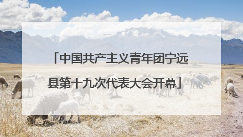 中国共产主义青年团宁远县第十九次代表大会开幕