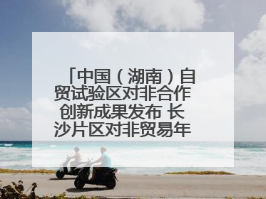 中国（湖南）自贸试验区对非合作创新成果发布 长沙片区对非贸易年均增长141%