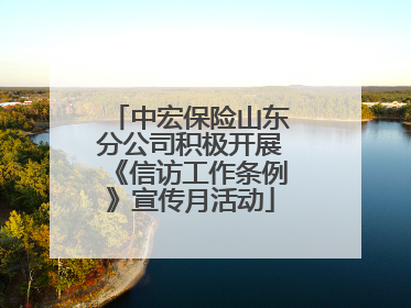 中宏保险山东分公司积极开展《信访工作条例》宣传月活动