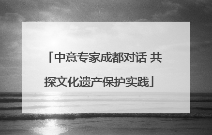 中意专家成都对话 共探文化遗产保护实践