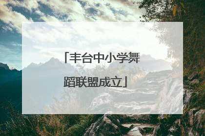丰台中小学舞蹈联盟成立