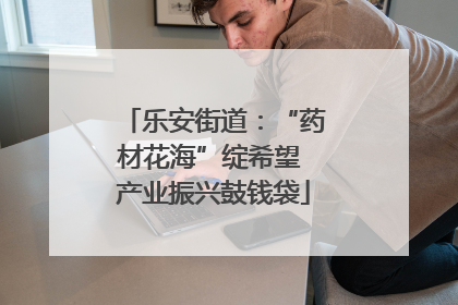 乐安街道：“药材花海”绽希望 产业振兴鼓钱袋