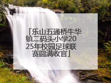 乐山五通桥牛华镇二码头小学2025年校园足球联赛圆满收官