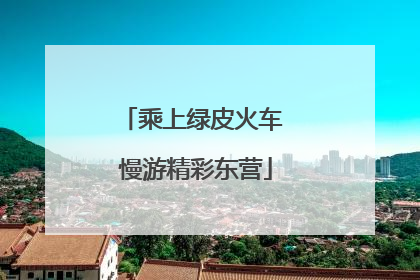 乘上绿皮火车 慢游精彩东营