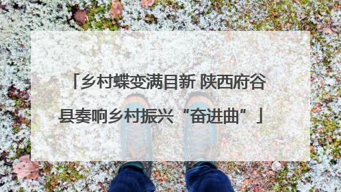 乡村蝶变满目新 陕西府谷县奏响乡村振兴“奋进曲”