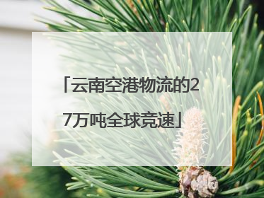 云南空港物流的27万吨全球竞速