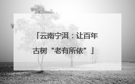 云南宁洱：让百年古树“老有所依”