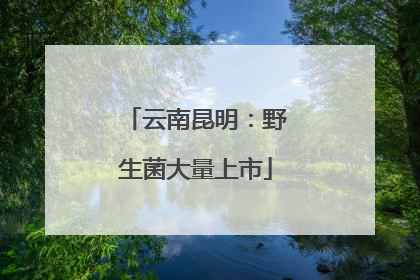 云南昆明：野生菌大量上市