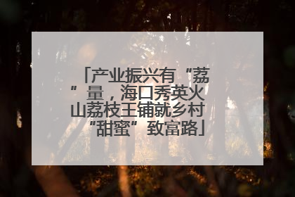 产业振兴有“荔”量，海口秀英火山荔枝王铺就乡村“甜蜜”致富路