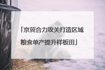 京冀合力攻关打造区域粮食单产提升样板田