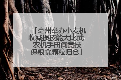 亳州举办小麦机收减损技能大比武 农机手田间竞技保粮食颗粒归仓