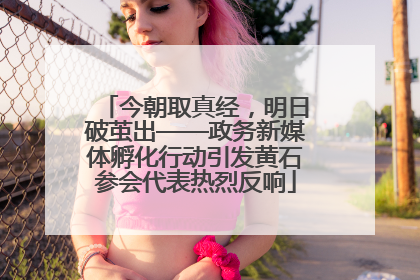 今朝取真经，明日破茧出——政务新媒体孵化行动引发黄石参会代表热烈反响