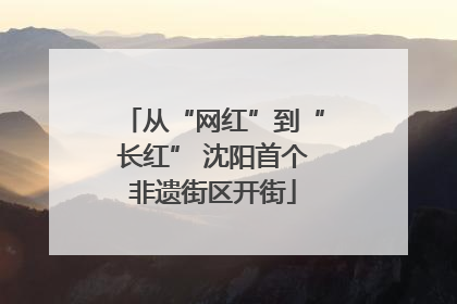 从“网红”到“长红” 沈阳首个非遗街区开街