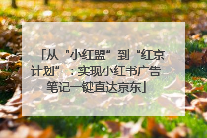 从“小红盟”到“红京计划”：实现小红书广告笔记一键直达京东