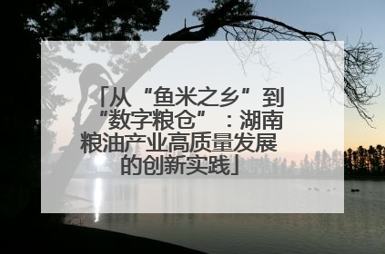 从“鱼米之乡”到“数字粮仓”：湖南粮油产业高质量发展的创新实践
