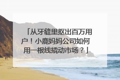从牙缝里抠出百万用户！小鹿妈妈公司如何用一根线撬动市场？