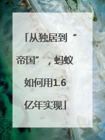 从独居到“帝国”，蚂蚁如何用1.6亿年实现