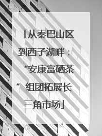 从秦巴山区到西子湖畔：“安康富硒茶”组团拓展长三角市场