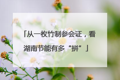 从一枚竹制参会证，看湖南节能有多“拼”