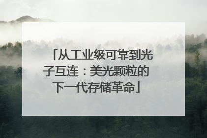 从工业级可靠到光子互连：美光颗粒的下一代存储革命
